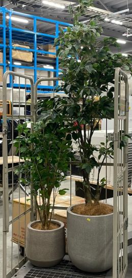 人工植栽(2点セット)